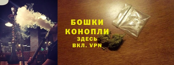 ECSTASY Богородск