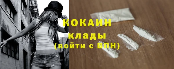ECSTASY Богородск