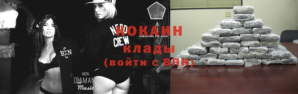 стаф Богородицк
