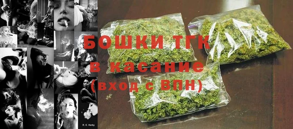 ECSTASY Богородск
