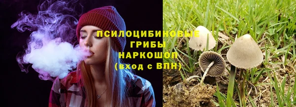 jwh Богданович