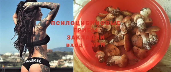 ECSTASY Богородск