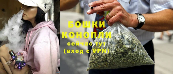 стаф Богородицк