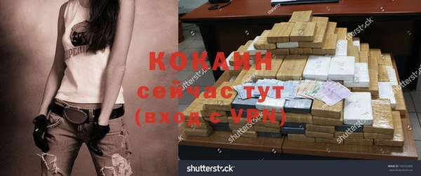 ECSTASY Богородск